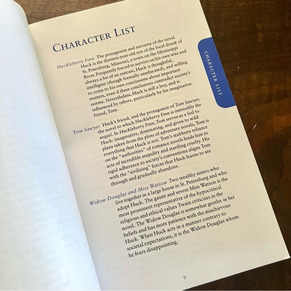 The Adventures Of Huckleberry Finn (Sparknotes Literature Guide) - Picture 3 of 3